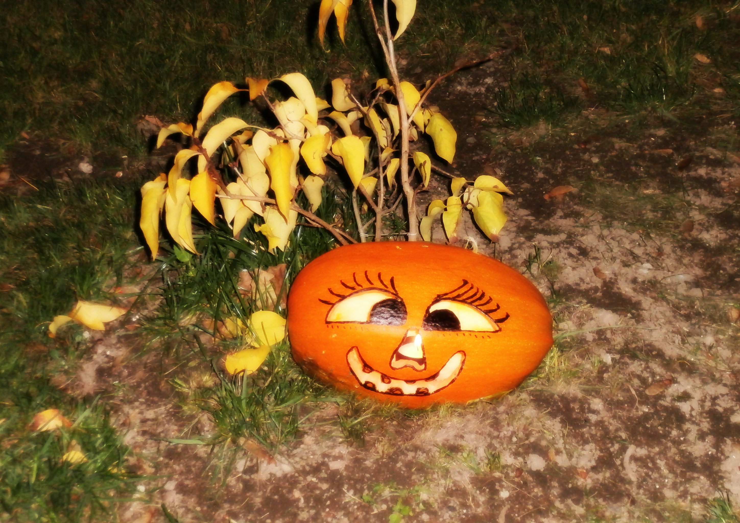 Halloween‎ 